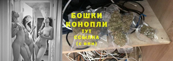 гидра Надым