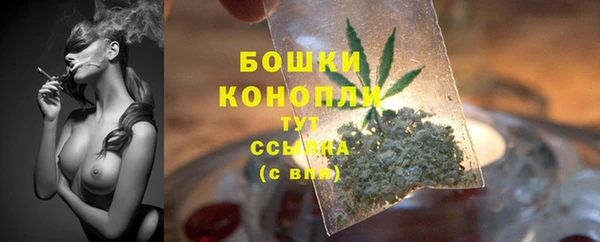 гидра Надым