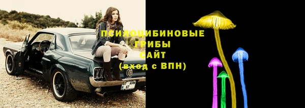 гидра Надым