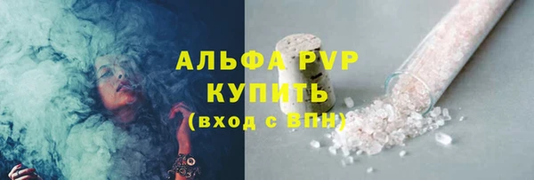 гидра Надым