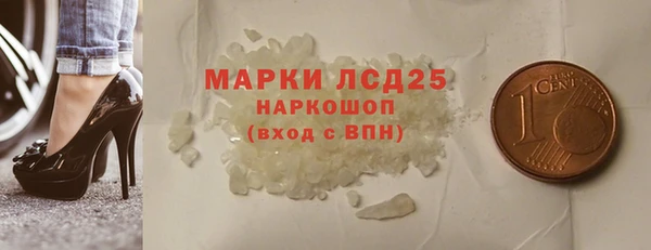 гидра Надым