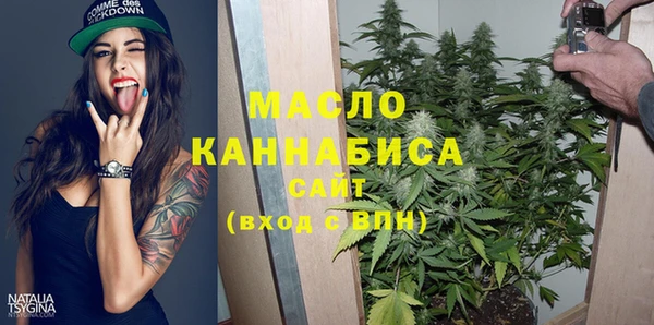 гидра Надым