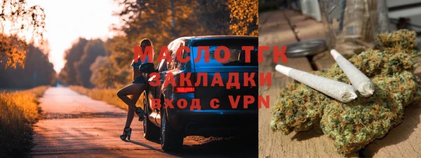 гидра Надым