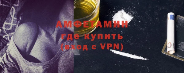 гидра Надым