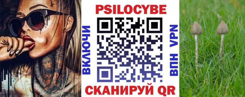 Псилоцибиновые грибы мухоморы  Купить закладки  Шелехов 