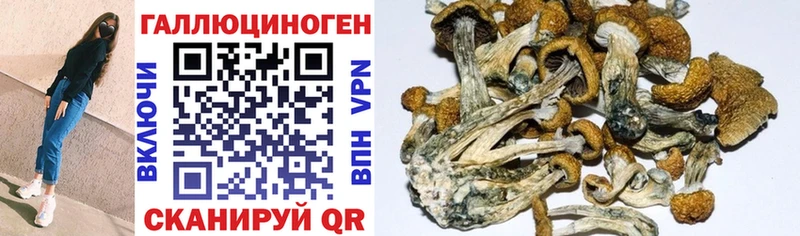 Псилоцибиновые грибы MAGIC MUSHROOMS Шелехов